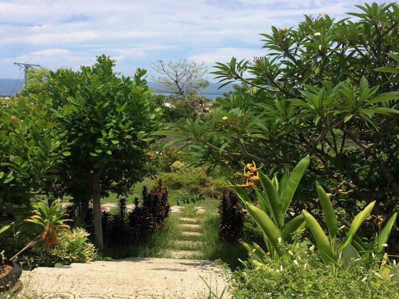 Bali Natur Lovina Eksteriør bilde